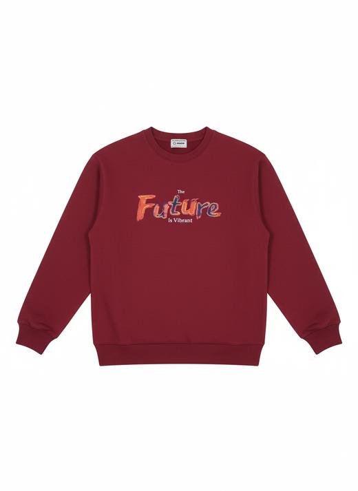 佐丹奴男装25年新款时尚印花抓绒卫衣01095612 商品图0