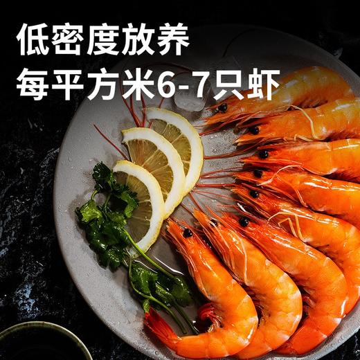 渤海有机无抗盐田虾，肉质饱满鲜甜肥美，低脂高蛋白 商品图12