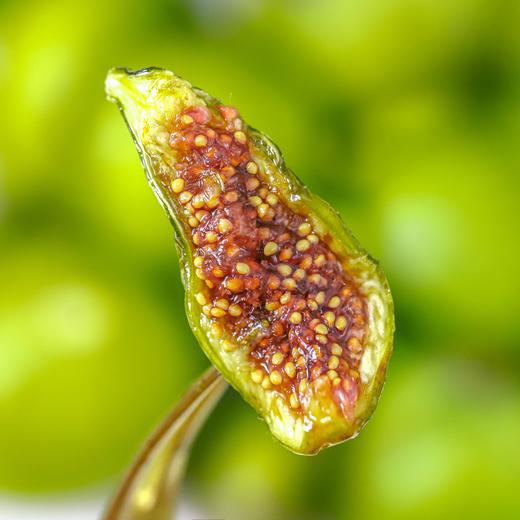 食味的初相无花果干|8斤鲜无花果才出1斤，酸甜艮啾啾，好吃又养人 商品图2