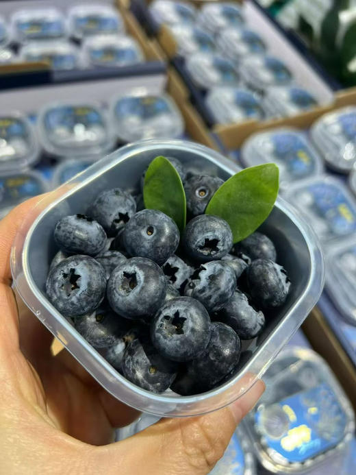 【宏丰精选】花香蓝莓，口感纯甜，果粉足，活动价16.8元一杯 商品图0