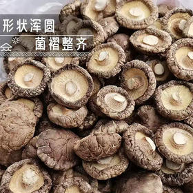 【MLT】香菇干货  形状浑圆  饱满肉厚  菇香浓郁  软嫩鲜香