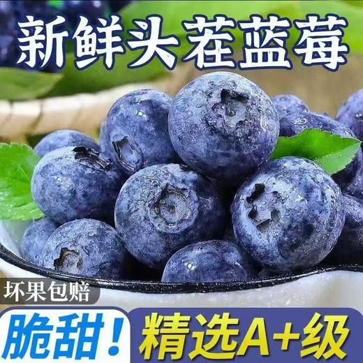 【头茬新果❗️当季新鲜蓝莓果】“浆果皇后”酸甜可口果肉细腻，一口爆浆，时令蓝梅新鲜到家包邮L 商品图0
