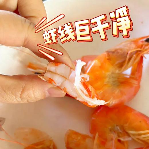 渤海有机无抗盐田虾，肉质饱满鲜甜肥美，低脂高蛋白 商品图8