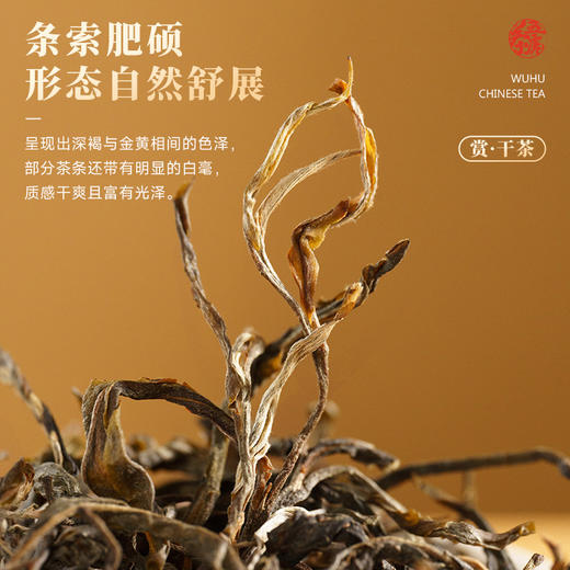 【年货礼盒】茶叶 云南普洱 普洱茶 普洱生茶 长乐 提篮 茶饮 五虎 300g 商品图3