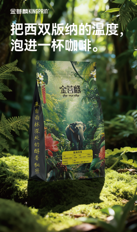 云南西双版纳特产金菩麟咖啡豆，版纳印象系列，多种规格可选