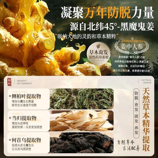 儒意臻萃防脱精华液 商品图3