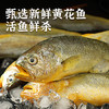 海鲜生鲜  三去黄花鱼4条装（共约1kg-1.2kg）【已去鳞、去鳃、去内脏】冷冻生鲜 请及时签收冷冻保存 商品缩略图2