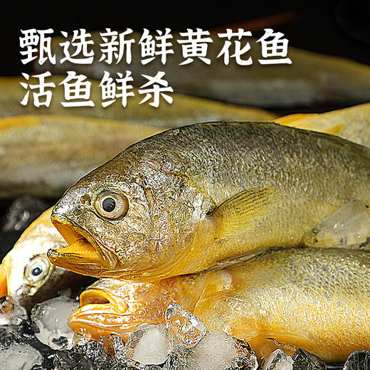 海鲜生鲜  三去黄花鱼4条装（共约1kg-1.2kg）【已去鳞、去鳃、去内脏】冷冻生鲜 请及时签收冷冻保存 商品图2