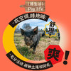 首粮野牧宴黑猪肉礼盒【冷链生鲜类商品不退，质量问题只换】 商品缩略图5