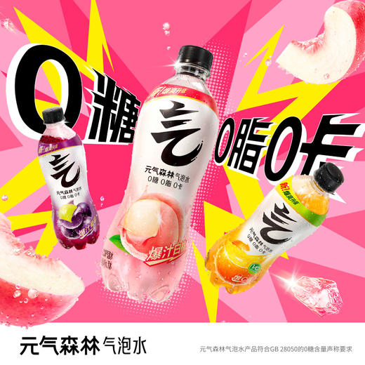 【直供】元气森林气泡水480mL*15瓶整箱 商品图0