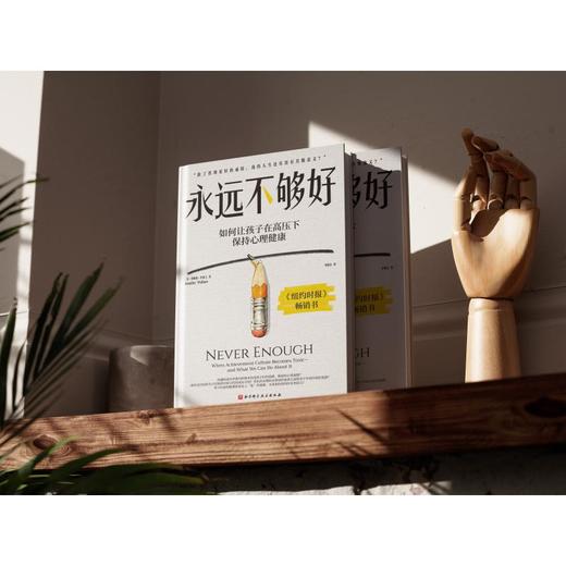 永远不够好 商品图1