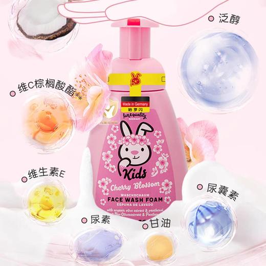 德国哈罗闪儿童洗面奶男女童洁面乳大容量洁面泡沫250ml效期27年2月 商品图6