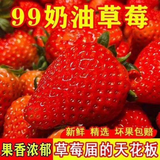 【头茬新鲜❗️四川大凉山红颜99草莓】红颜奶油草莓「吃出奶香味的草莓」精挑细选，甜脆多汁，鲜嫩爽口，果肉饱满，特产冰冻草莓红颜九九草莓新鲜99奶油草莓L 商品图0