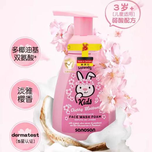 德国哈罗闪儿童洗面奶男女童洁面乳大容量洁面泡沫250ml效期27年2月 商品图0