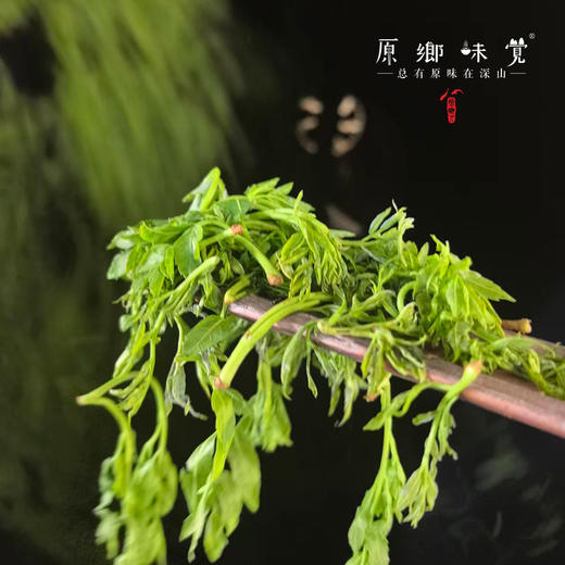 生态芽尖莓茶/藤茶（成都仓库-顺丰快递）| 50g/罐，来自湖南张家界永定，生产者：杨坤【合作生产，公平贸易】 商品图10