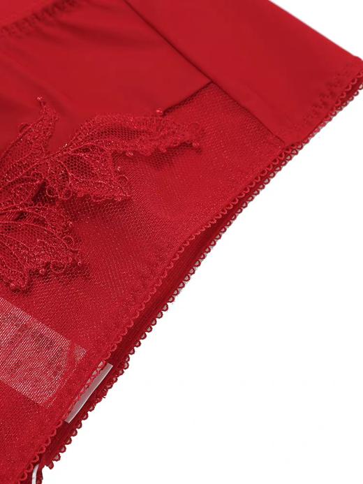 【Aimer爱慕】B4F |爱慕25秋冬日照金山开运系列内裤AM23B641 商品图3