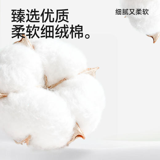 【小杨臻选】女士内裤透气舒适亲肤高弹棉质7A抗菌加长裆聚乳酸 商品图1