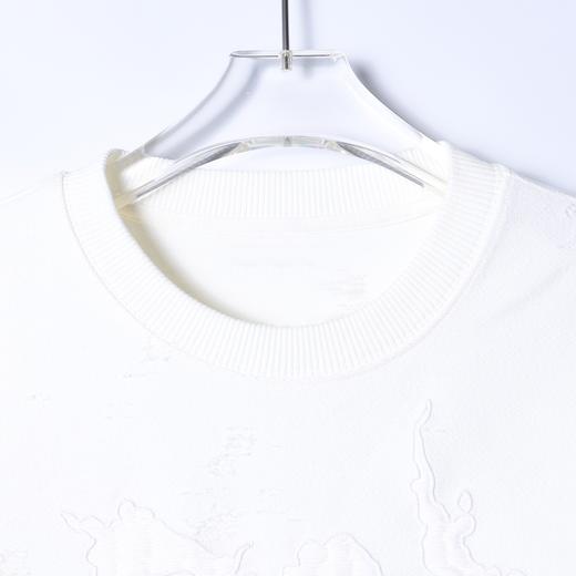 9546SDSA男士秋冬新款痞帅男装潮流设计师刺绣字母圆领卫衣百搭宽松 商品图2