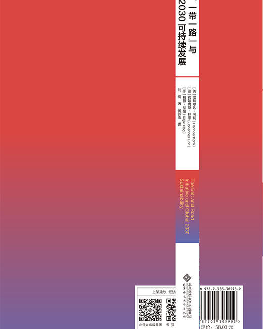 一带一路”与2030可持续发展 9787303305902 ［美］哈瑞尔达·考利［德］约翰内斯·林恩［印］拉雅·纳格/著 刘  倩  著 张梦雨/译  北京师范大学出版社 正版书籍 商品图2