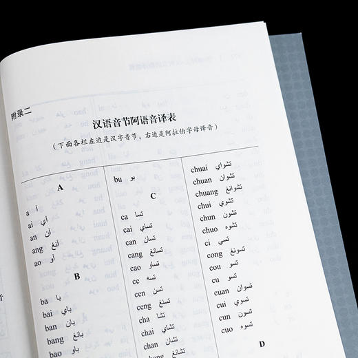 新编阿汉-汉阿双向翻译教程 商品图8