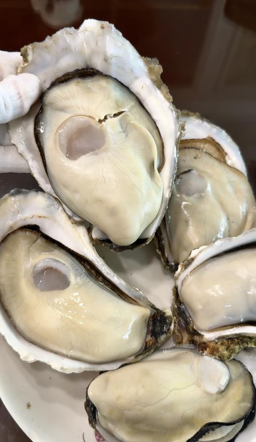 乳山生蚝 山东牡蛎特大肉海蛎子 9斤装 商品图1