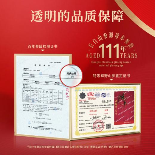 【开盖即食】安娜诺 参佰因即食人参组培不定根 35g*10/盒 方便快捷 商品图1