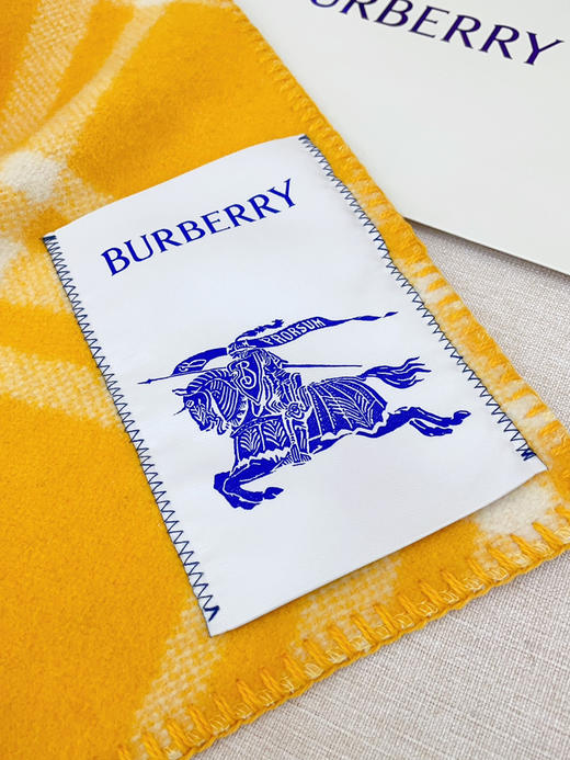 秋冬特惠💰300 巴宝莉围巾 低调的奢侈感 柔美精英高手级别的时髦感围巾 商品图6