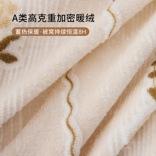 多喜爱 牛奶绒雕花工艺套件【不起球 不掉毛】【 A类高克重】【柔软舒适 抗静电】浅织恋曲 商品图1