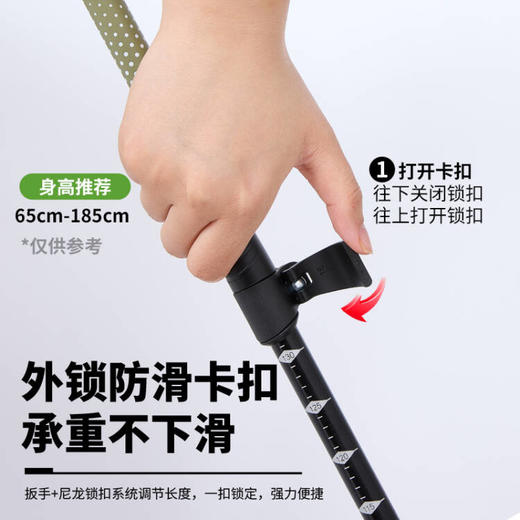 错山 登山杖 A-02 商品图6