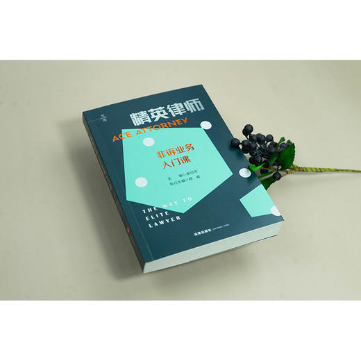 精英律师非诉业务入门课 金可可主编 权威执行主编 法律出版社 商品图1