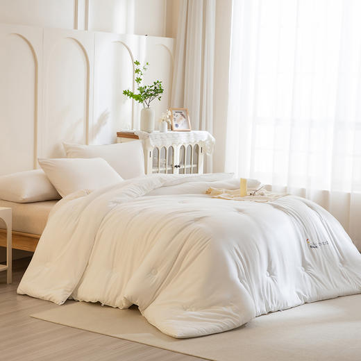 【加厚磨毛面料 整夜恒温安眠】ZOEA 自发热德绒被3.0 表面细腻绒毛 触感温暖 商品图2