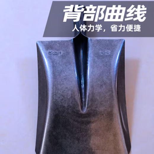 【HT】	铁锹	方  尖	把 商品图1