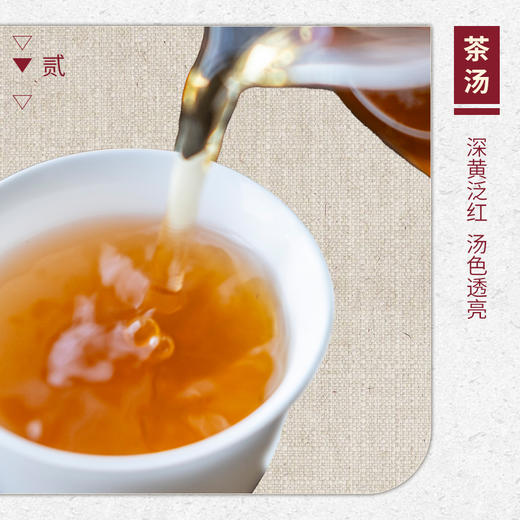 【山纯限品】2025年乙巳年大典藏大红袍17g 商品图3