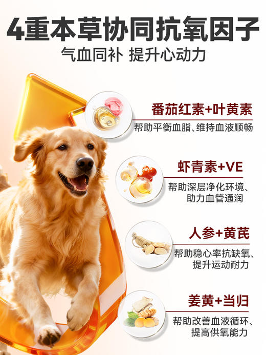 普安特辅酶Q10狗狗猫咪营养膏剂 帮助保护心肌心脏健康宠物辅酶心安膏 商品图4