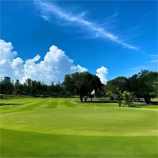 越南头顿·美之城高尔夫球场 Vung Tau Paradise Golf Course   | 胡志明高尔夫球场 | 越南高尔夫球场俱乐部 | 东南亚 商品图3