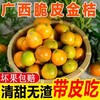 【正宗广西❗️桂林脆皮金桔】脆皮金桔，皮薄脆口，不呛不辣，多汁细腻，颠覆传统金桔口感，新鲜采摘儿童孕妇水果蜜桔柑橘子L 商品缩略图0