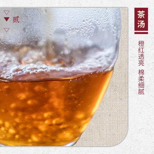 【山纯限品】2026年041三姑峰龙潭高枞水仙17g 商品图3