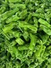 周三取货：【精品薄皮青椒】一袋500克左右，椒味浓郁，脆嫩可口！ 商品缩略图8