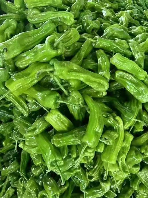 周三取货：【精品薄皮青椒】一袋500克左右，椒味浓郁，脆嫩可口！ 商品图8