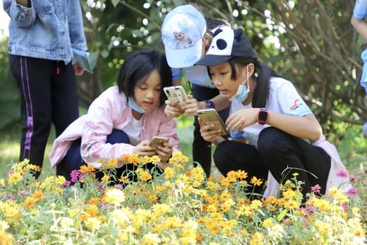 【木工科普定向营】像工程师一样造物，像探险家一样寻宝 商品图2