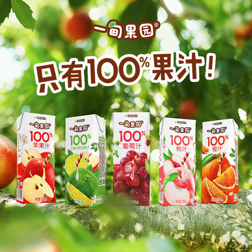 【一甸园子品牌】一甸果园 果汁系列 200ml*10 商品图0