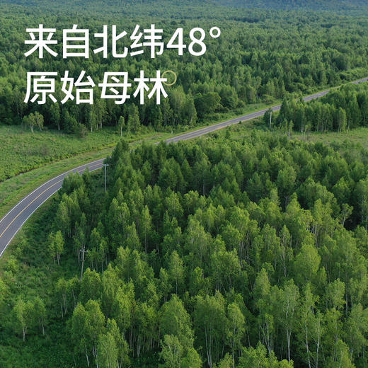 桦树汁2026新春【浓缩桦树汁】12倍浓缩 取汁天然 安全0添加 商品图6