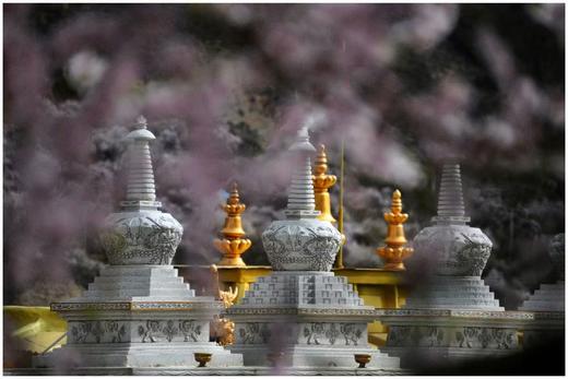 藏东南世外桃源丨桃花雪山（易贡+尼屋乡+索松村+波密+林芝）、墨脱秘境、冰川、峡谷10天摄影团 商品图6