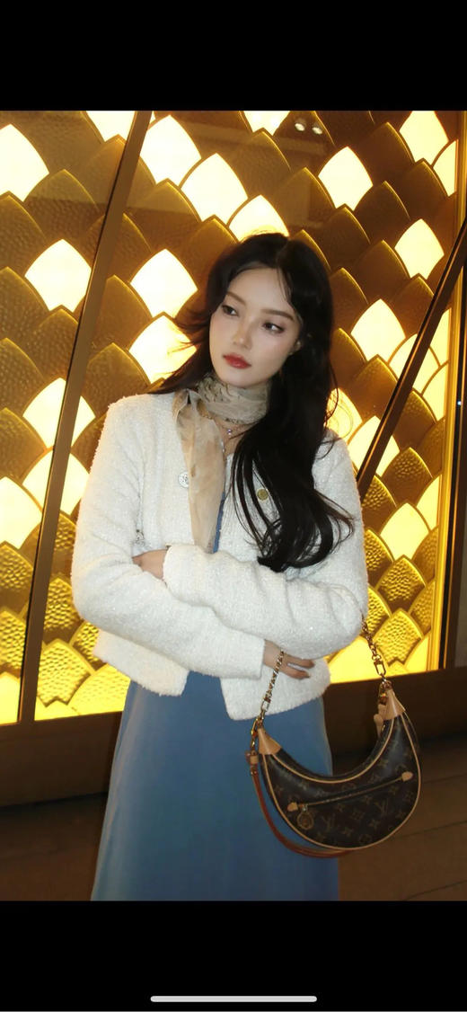 LV Loop 老花 豌豆 腋下包 商品图3