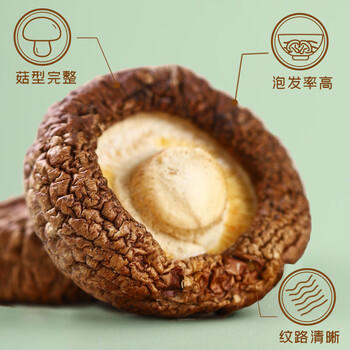 富昌 大香菇干500g 蘑菇菌菇山珍干货古田特产 火锅煲汤材料年货食材 /粮油调味 /南北干货 /菌菇干货 商品图1