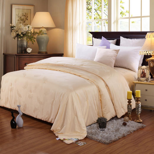 御华蚕丝被|柔软顺滑，耐用保暖，带给肌肤轻柔的包裹感【4.5不发货，6号正常发货】 商品图0