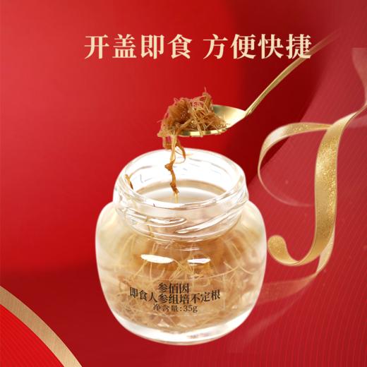 【开盖即食】安娜诺 参佰因即食人参组培不定根 35g*10/盒 方便快捷 商品图2