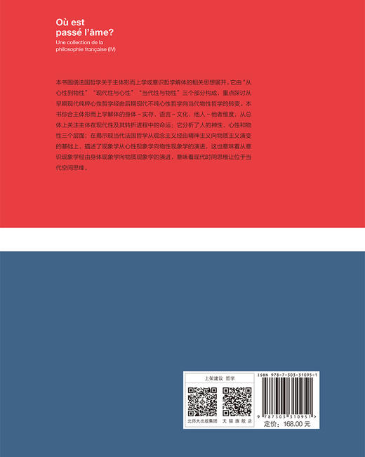 心灵的归宿——法国哲学论丛4 9787303310951 杨大春/著 杨大春法国思想文化研究系列  北京师范大学出版社 正版书籍 商品图2
