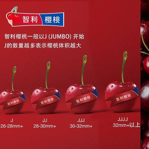 【京东包邮❗️新鲜到家🔥原箱智利车厘子】飘洋过海的情谊，从智利到中国，优选精品进口车厘子，当季应季水果，营养美味又健康，老人/孕妇/水果，新鲜水果大樱桃车厘子L 商品图2
