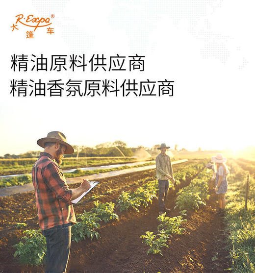 荷荷巴油 阿根廷原料批发 美容院按摩植物油基础油批发 商品图2